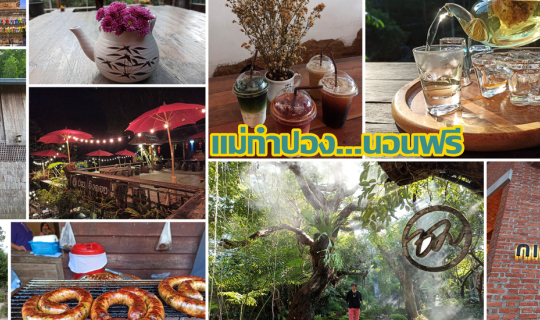 cover แม่กำปอง นอนฟรี