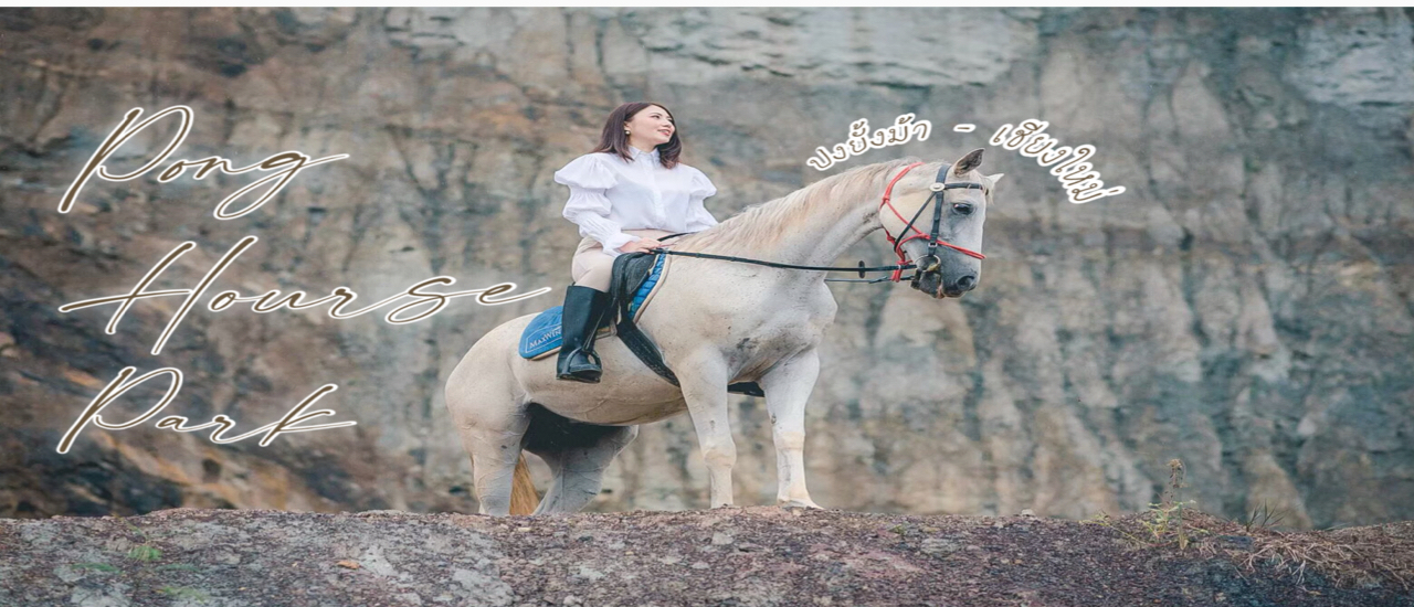 cover มาเที่ยวเชียงใหม่ทั้งที ต้องไม่พลาด! กิจกรรมขี่ม้า " Pong Horse Park ปงยั้งม้า ขี่ม้าเชียงใหม่ "