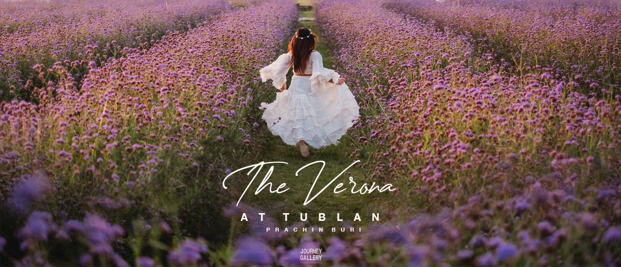 cover Verona at Tublan ที่เที่ยวถ่ายรูปทุ่งดอกไม้สุดปัง ปราจีนบุรี