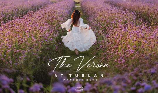 Cover Verona at Tublan ที่เที่ยวถ่ายรูปทุ่งดอกไม้สุดปัง ปราจีนบุรี...