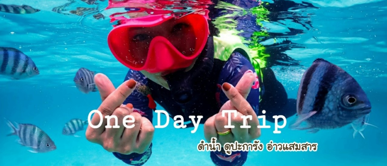 cover One Day Trip >> จอยทริป ดำน้ำดูปากะรัง อ่าวแสมสาร จะมากี่คนก็ฟินได้ ไม่ต้องเหมาลำ!!!