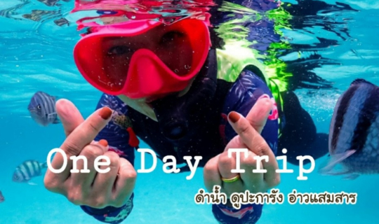 cover One Day Trip >> จอยทริป ดำน้ำดูปากะรัง อ่าวแสมสาร จะมากี่คนก็ฟินได้ ไม่ต้องเหมาลำ!!!