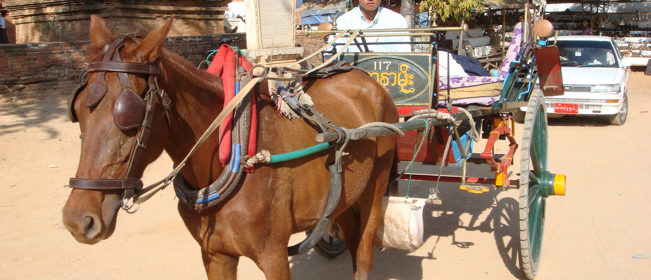 cover พม่าวันฟ้าใส ตอนที่ 16 ความงามในความมืด