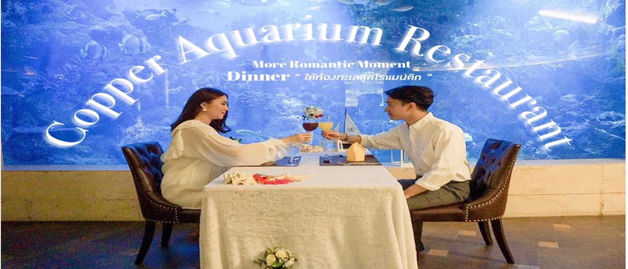 cover ดินเนอร์ใต้ท้องทะเล ที่ Copper Aquarium Restaurant ใจกลางเมืองย่านห้วยขวางนี้เอง !!