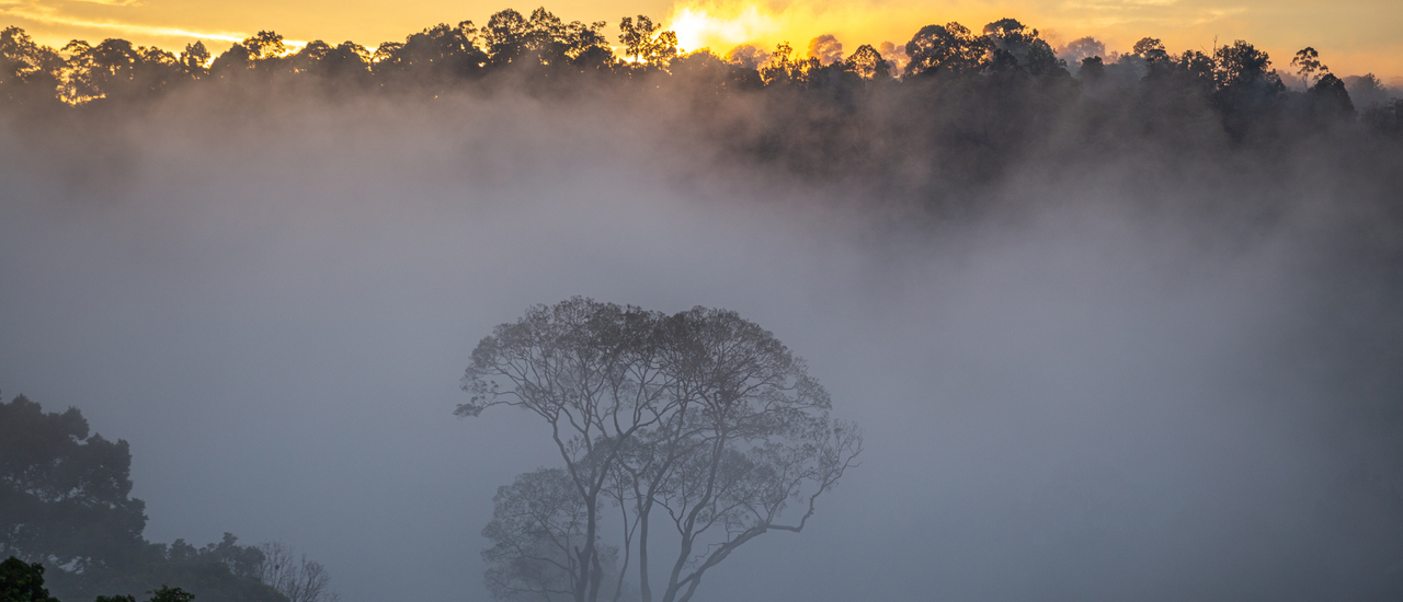 cover ค้นหาหัวใจที่ นรา ยะลา ตานี