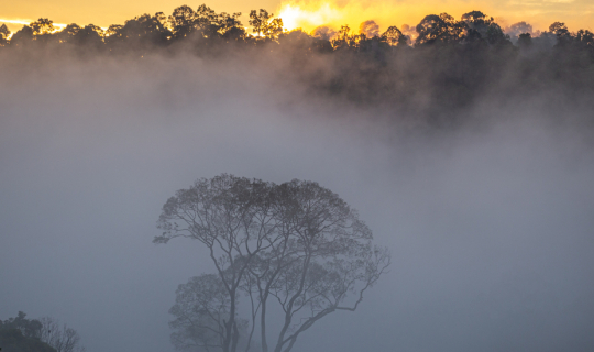 Cover ค้นหาหัวใจที่ นรา ยะลา ตานี...