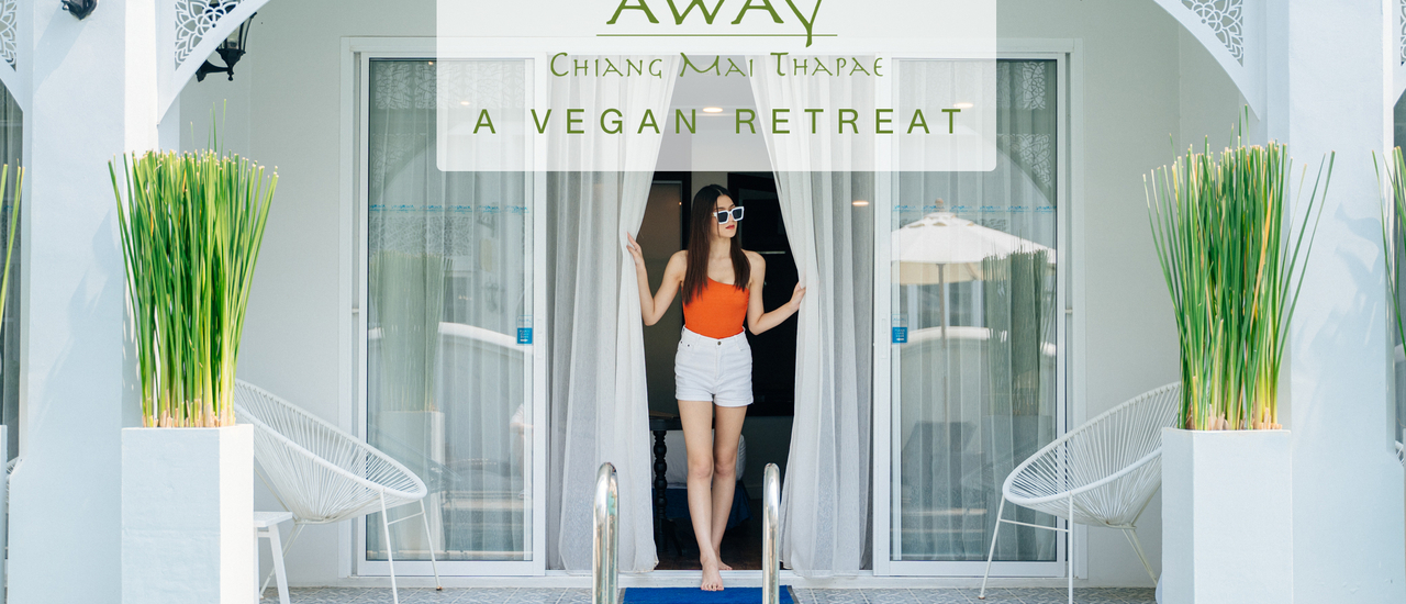 cover Away Chiang Mai Thapae รีสอร์ทสีขาว ข้าวเช้าสีเขียว
