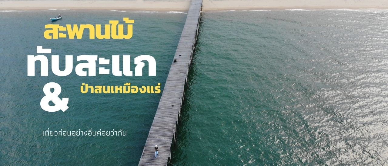cover One Day Trip สะพานไม้ทับสะแก + ป่าสนเหมืองแร่