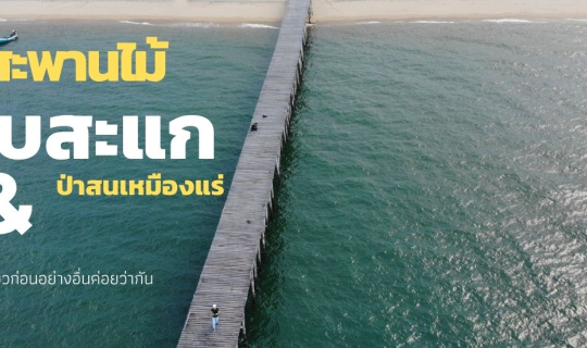 cover One Day Trip สะพานไม้ทับสะแก + ป่าสนเหมืองแร่