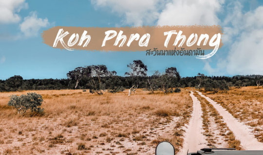 Cover เกาะพระทอง 3 วัน 2 คืน @BABA Ecolodge ชมทุ่งหญ้าสะวันนาเมืองไทย...