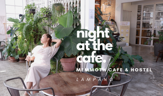 cover คืนนั้น ฉันค้างที่คาเฟ่ | Memmoth Cafe & Hostel ลำปาง