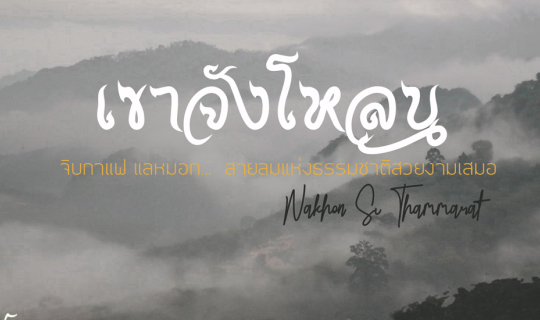 Cover ทะเลหมอกเขาจังโหลน นครศรีธรรมราช [จิบกาแฟ แลหมอก สายลมแห่งธรรมชาติสว...