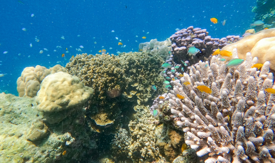 Cover มิชชั่นคอมพลีททท..กับหมู่เกาะสุรินทร์ ...ซัมเมอร์นี้ไฟลุก เพราะทะเลอ...