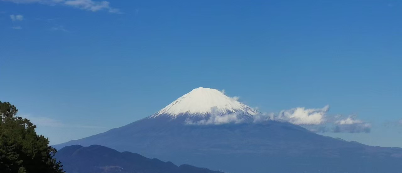 cover Janpan Nagoya and Shizuoka