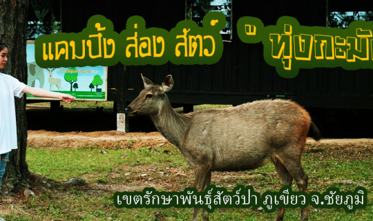 Cover แคมปิ้ง ส่อง สัตว์  ท่องซาฟารีเมืองไทย  " ทุ่งกะมัง " เขตรักษาพันธุ์...
