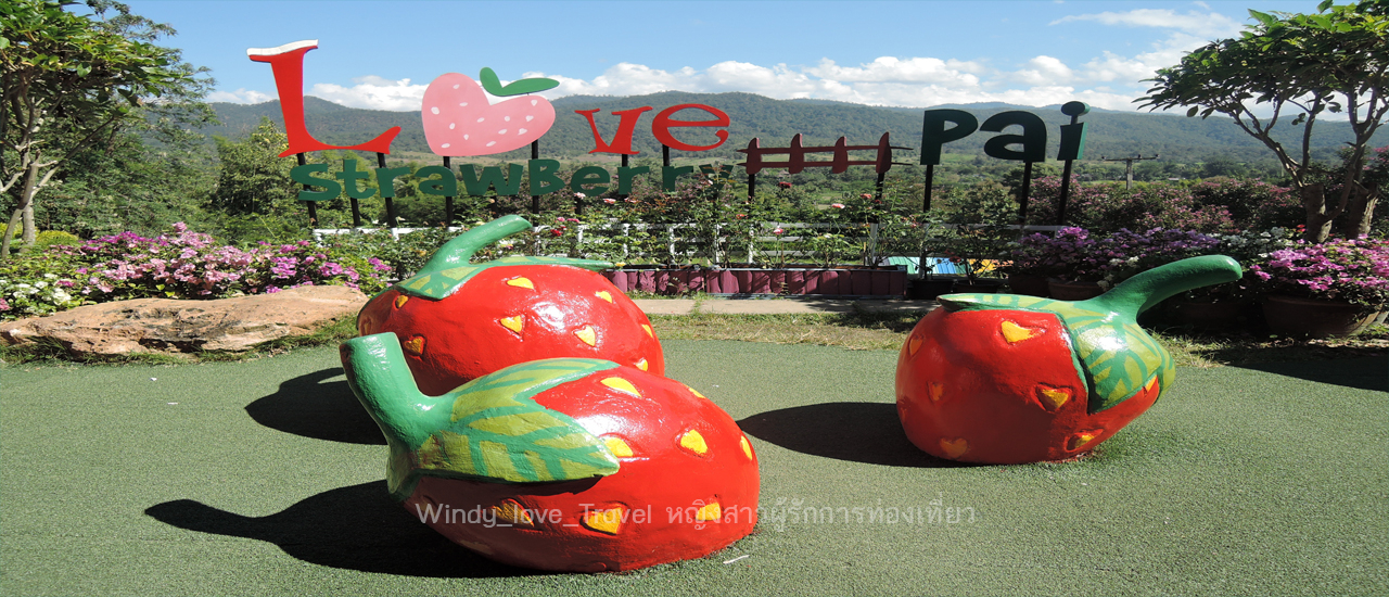 cover รีวิวเที่ยวเพราะคิดถึง "ทริปปายมาแว้ว" แบบ Alone Trip