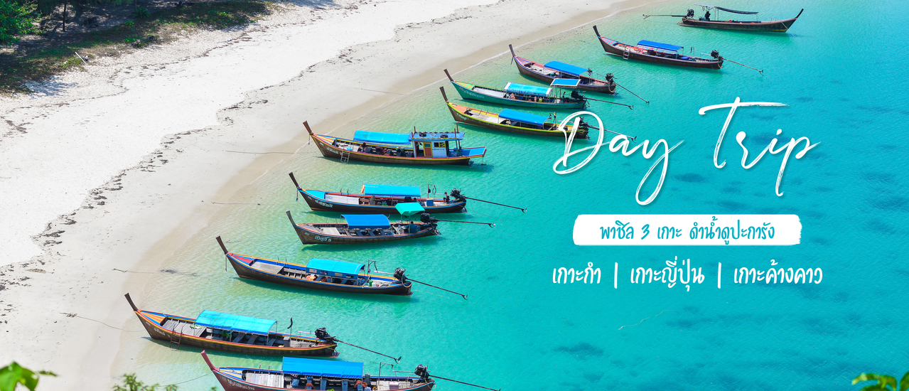 cover Day Trip พาชิล 3 เกาะ ดำน้ำดูปะการัง