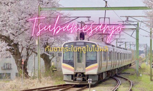 Cover นั่งรถไฟ JR EAST ไปเที่ยวสึบาเมะซันโจ (4) ดอกซากุระในฤดูใบไม้ผลิ และ...