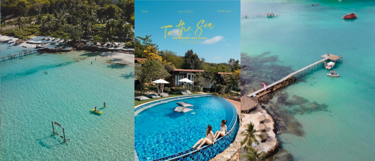cover ชวนไป To The Sea Resort เกาะกูด ที่พักที่มีมุมถ่ายรูปแสนจะเก๋กู๊ดดด
