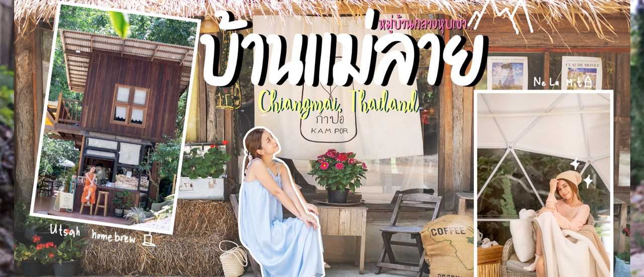 cover บ้านแม่ลาย เชียงใหม่ 2วัน 1คืน นอนฟินๆท่ามกลางป่าสนที่ เนรมิต นั่งเล่นคาเฟ่วิวสวยริมลำธาร