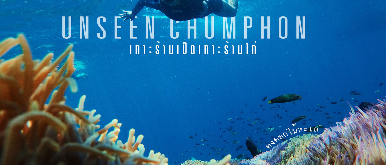 cover ดำน้ำในดงดอกไม้ทะเล เกาะร้านเป็ดเกาะร้านไก่