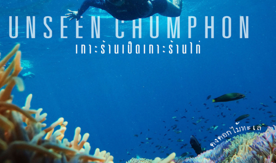 Cover ดำน้ำในดงดอกไม้ทะเล เกาะร้านเป็ดเกาะร้านไก่...