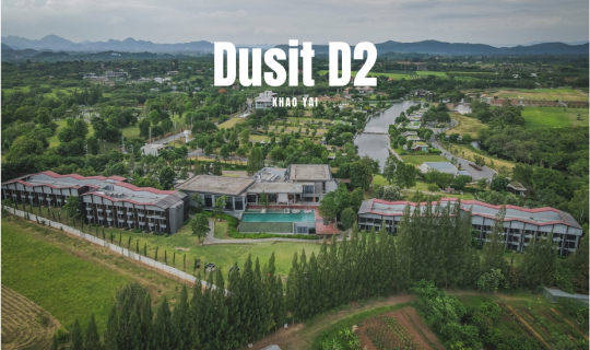 cover รีวิวโรงแรม dusitD2 Khao Yai (ดุสิต ดีทู เขาใหญ่) ที่พักเขาใหญ่ สุดหรู บรรยากาศดี ท่ามกลางขุนเขา อัพเดตปี 2021