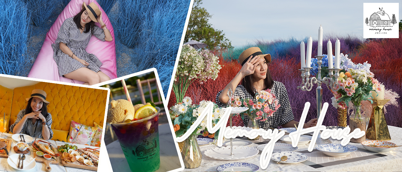 cover ทุ่งหญ้าหลากสีใกล้กรุง Memory House Cafe