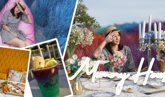 cover ทุ่งหญ้าหลากสีใกล้กรุง Memory House Cafe