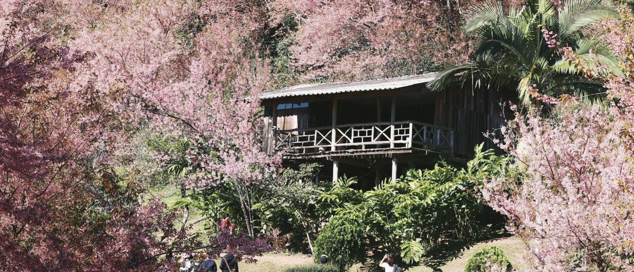 cover 10 สถานที่ เที่ยวไทย เหมือนไปต่างประเทศ | BLISS OUT THERE