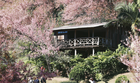 cover 10 สถานที่ เที่ยวไทย เหมือนไปต่างประเทศ | BLISS OUT THERE