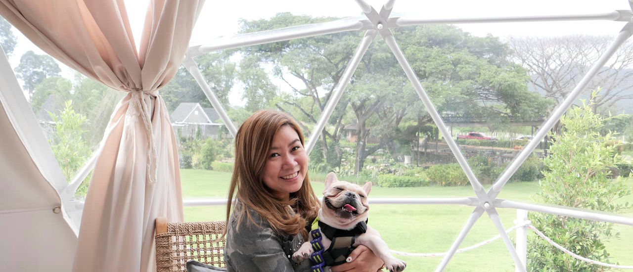 cover ที่พักเขาใหญ่ น้องหมาพักได้ที่ Oh La La Glamping
