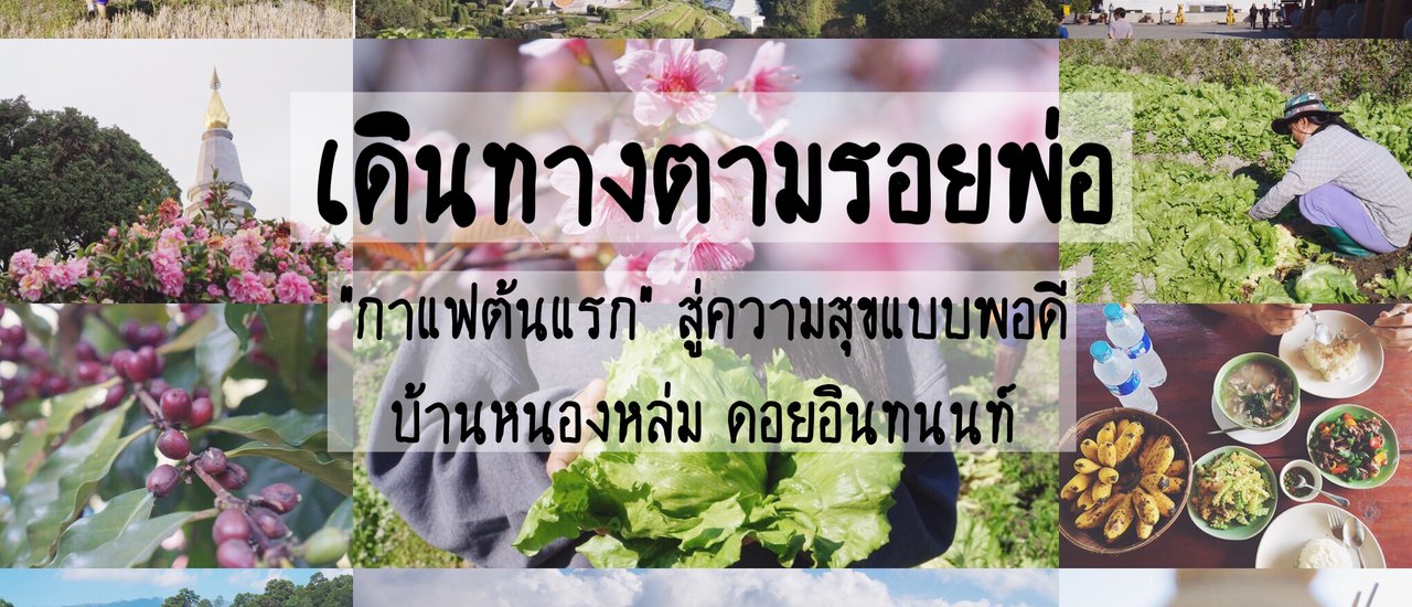 cover เดินทางตามรอยพ่อ "กาแฟต้นแรก" สู่ความสุขแบบพอดีที่บ้านหนองหล่ม ดอยอินทนนท์