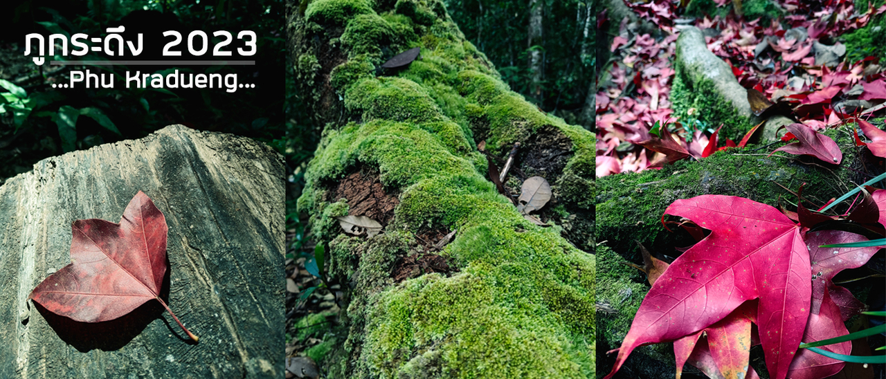 cover ภูกระดึงอีกนิดนึงก็ถึงแล้ว 2023