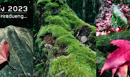 Cover ภูกระดึงอีกนิดนึงก็ถึงแล้ว 2023...