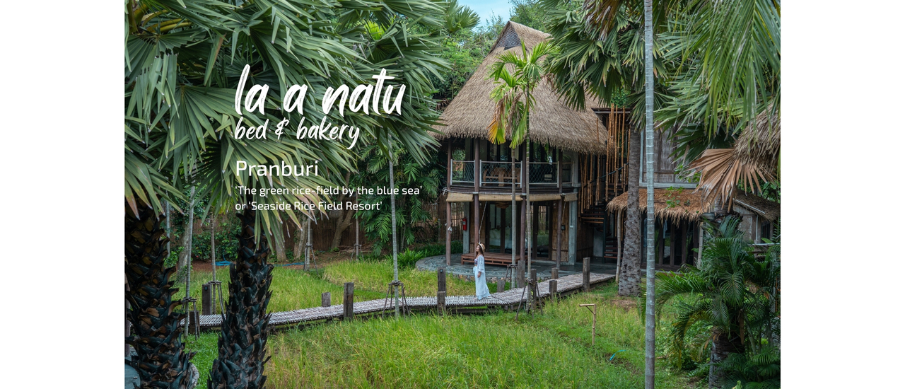 cover รีวิว ลา เอ นาตู เบดแอนด์เบเกอรี่  ( la a natu bed & bakery )  นอนฟังเสียงคลื่นกลางนาข้าว บูติกรีสอร์ท สไตล์บาหลี ริมทะเลปราณบุรี