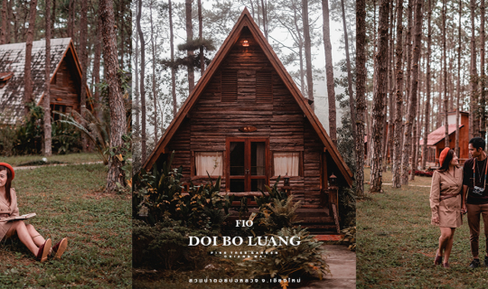 Cover สวนป่าดอยบ่อหลวง เชียงใหม่...