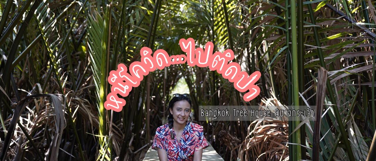 cover หนีโควิด ไปติดป่าใกล้กรุง ที่ Bangkok Tree House บางกระเจ้า