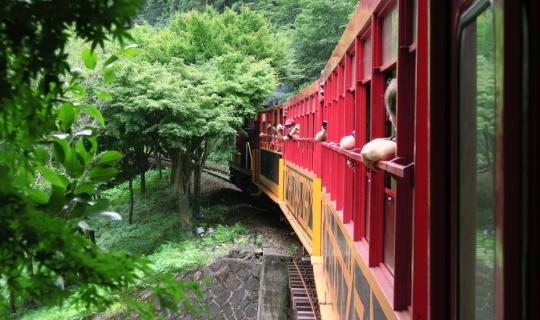 cover รีวิว นั่งรถไฟ Romantic train   SAGANO Railway  Arashiyama