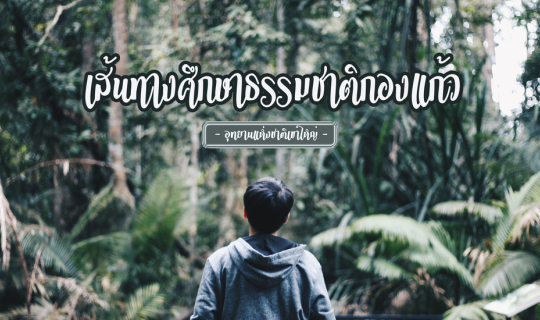 Cover สะพายกล้อง เดินป่า สำรวจเส้นทางศึกษาธรรมชาติกองแก้ว อุทยานแห่งชาติเข...