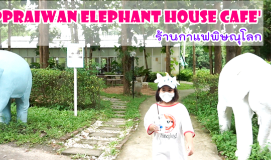 cover Elephant house cafe พิษณุโลก