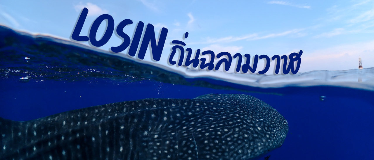 cover กิน นอน ดำน้ำ ตามล่าหาฉลามวาฬที่ "โลซิน"