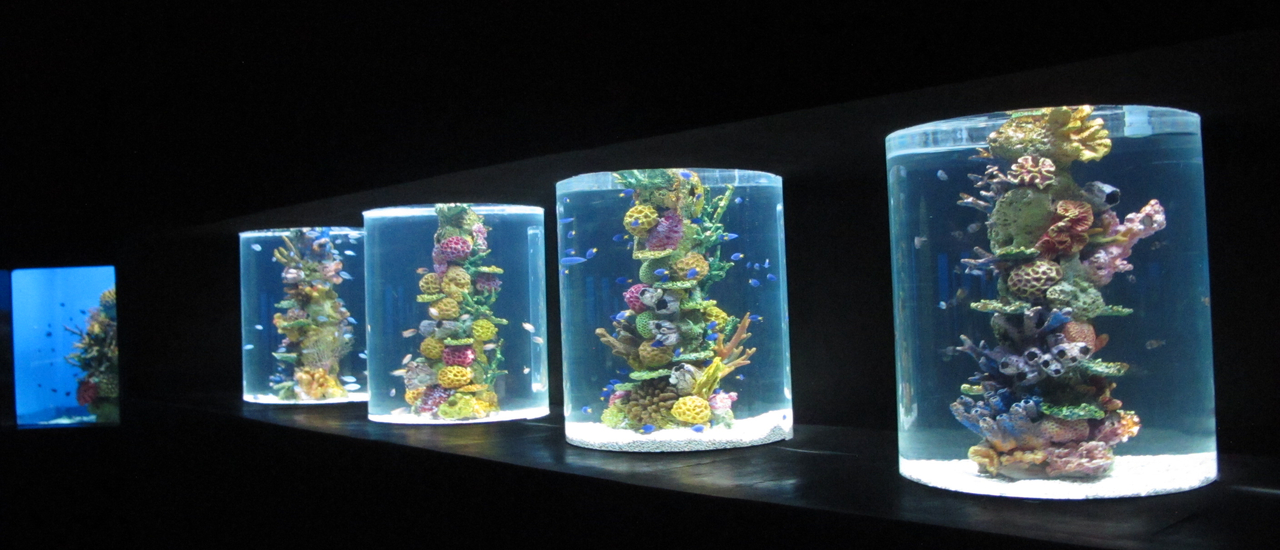 cover การเดินทางของคุณชายกับนายติดดิน ชุด ฟิลิปปินส์ เพื่อนใกล้ที่ไกลห่าง ตอนที่ 12 ดำลึกสู่ทะเลที่มะนิลาโอเชียนปาร์ค