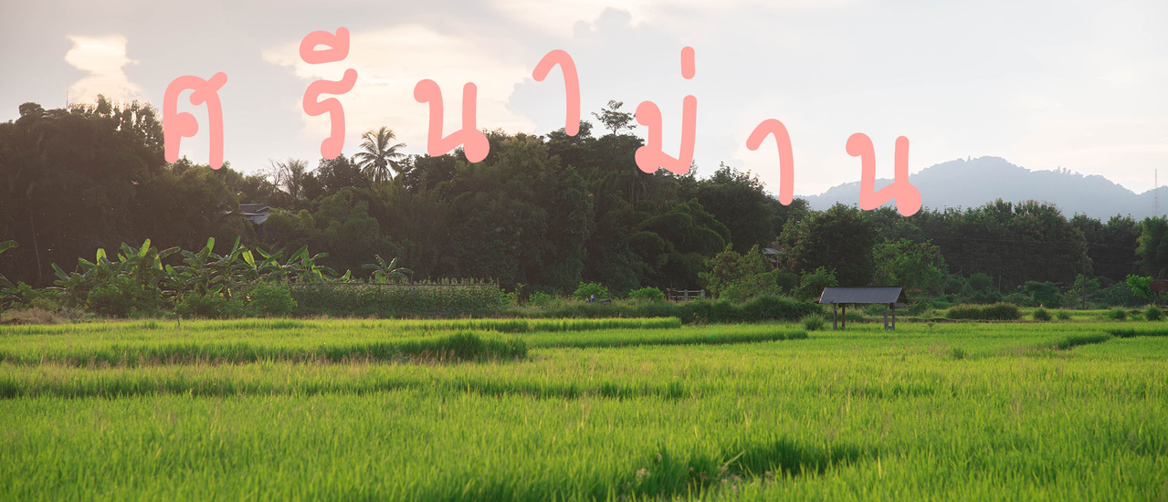 cover พักผ่อน 3 วัน 2 คืนท่ามกลางทุ่งนาสีเขียว ที่ ศรีนาม่าน จ. น่าน - ที่พักน่าน คาเฟ่ ก๋วยเตี๋ยวบ้านไม้ อร่อยสุด!!!!