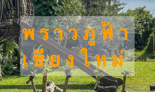 Cover พราวภูฟ้า เชียงใหม่...