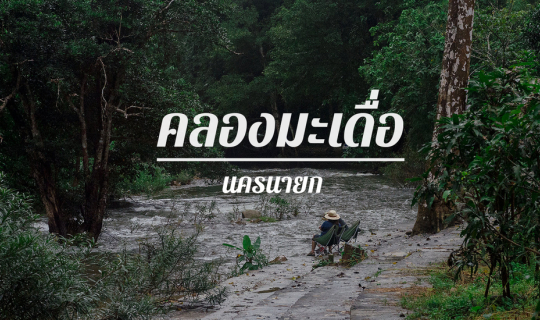 Cover ความสุขเบาๆริมคลองมะเดื่อ...