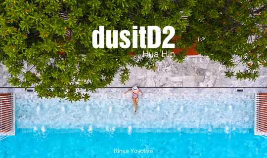 cover dusitD2 Hua Hin โรงแรมน้องใหม่ใจกลางหัวหิน น้องหมาแมวพักได้