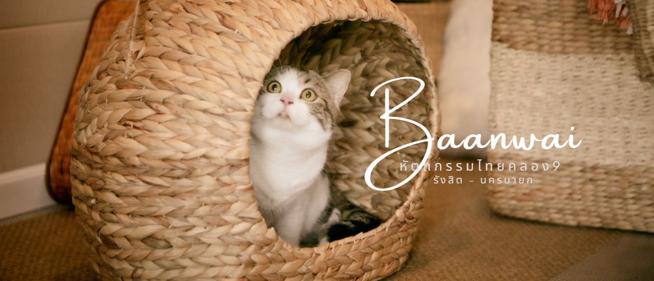 cover Baanwai หัตถกรรมไทยคลอง9 ของแต่งบ้านสไตล์มินิมอล ราคาเริ่มต้นหลักสิบ