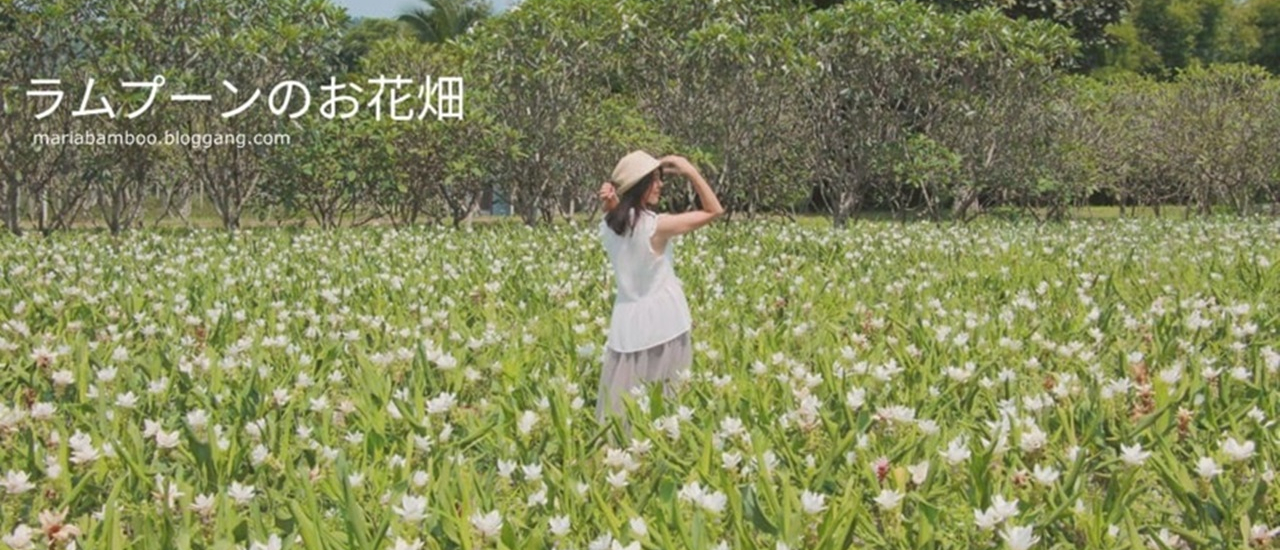 cover ภูดินพรรณไม้ - ทุ่งดอกกระเจียวที่ซ่อนตัวอยู่ในเขตแม่ทา, ลำพูน