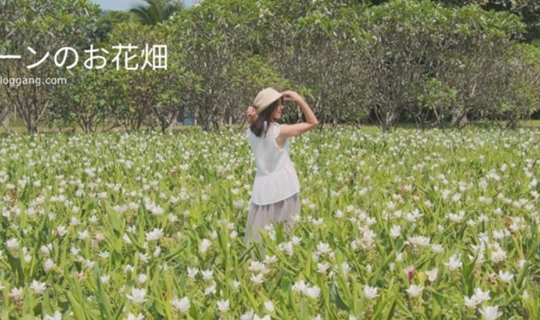 cover ภูดินพรรณไม้ - ทุ่งดอกกระเจียวที่ซ่อนตัวอยู่ในเขตแม่ทา, ลำพูน